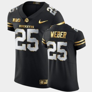 Men's Ohio State Buckeyes Golden Edition Black Mike Weber #25 2020-21 Authentic Jersey 192159-347